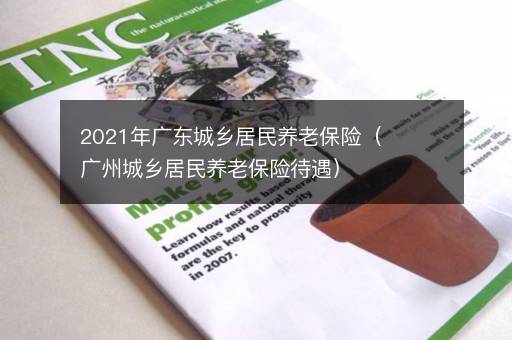 2021年广东城乡居民养老保险（广州城乡居民养老保险待遇）